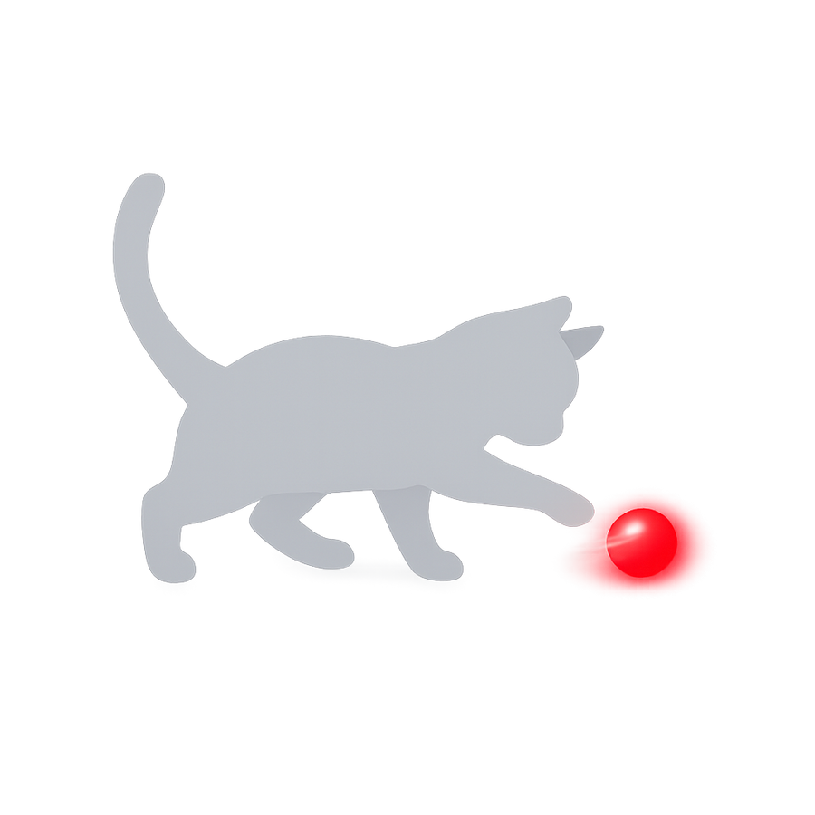 Le chat se met à jouer