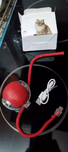 Selfie résultat client