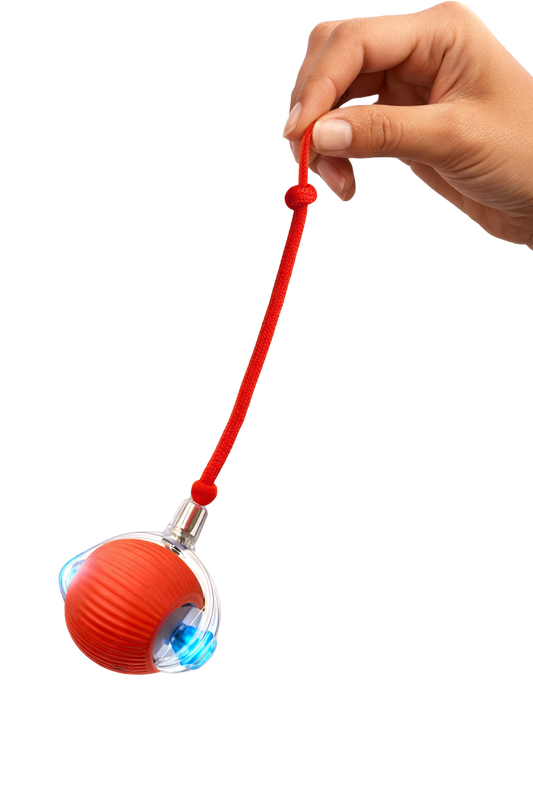 Mensoa™ : La Balle Interactive Qui Occupe Votre Chat Pendant des Heures