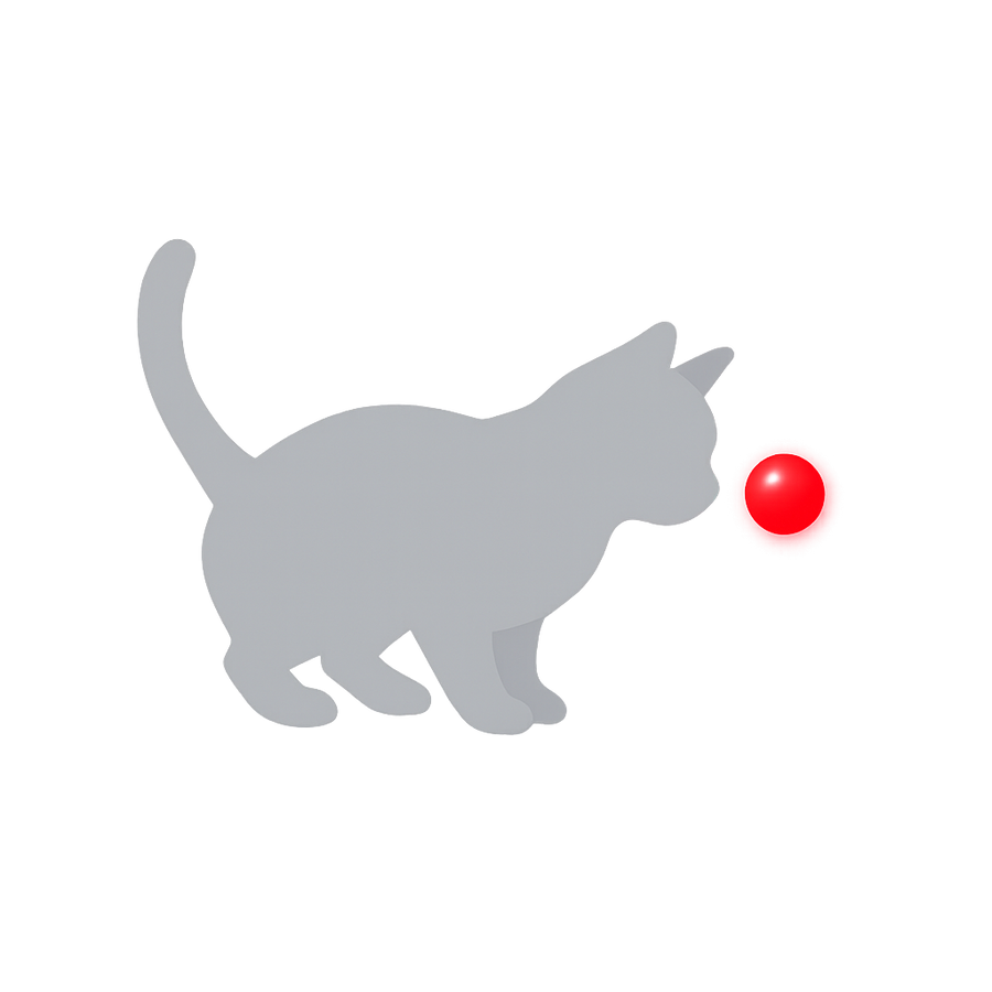 La balle capte l'attention